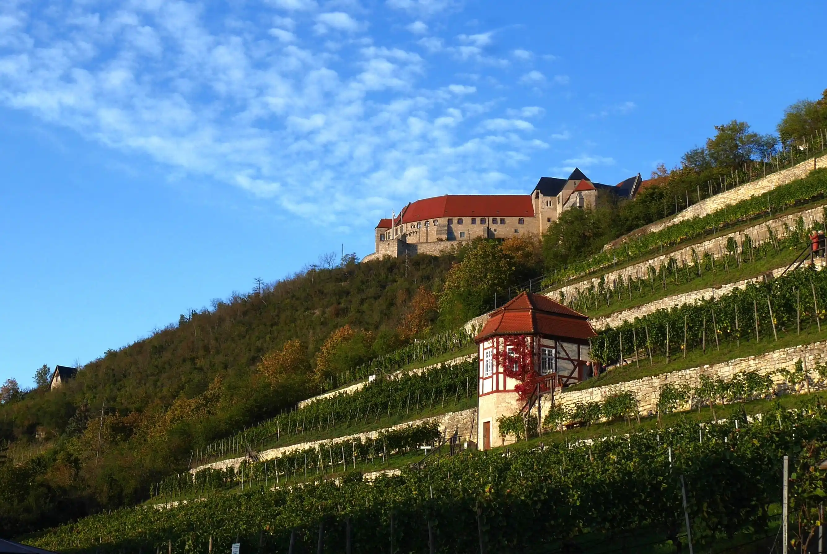 Blick auf die Neunburg vom Unstruttal und mit malerischen Weinbergen
