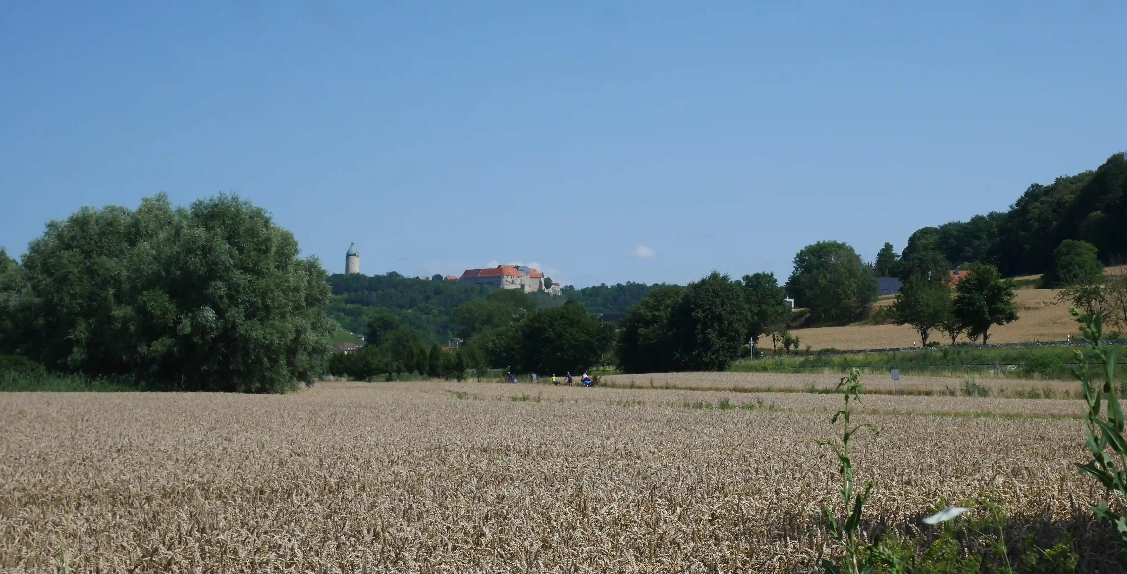 Blick auf Freyburg vom Radweg.