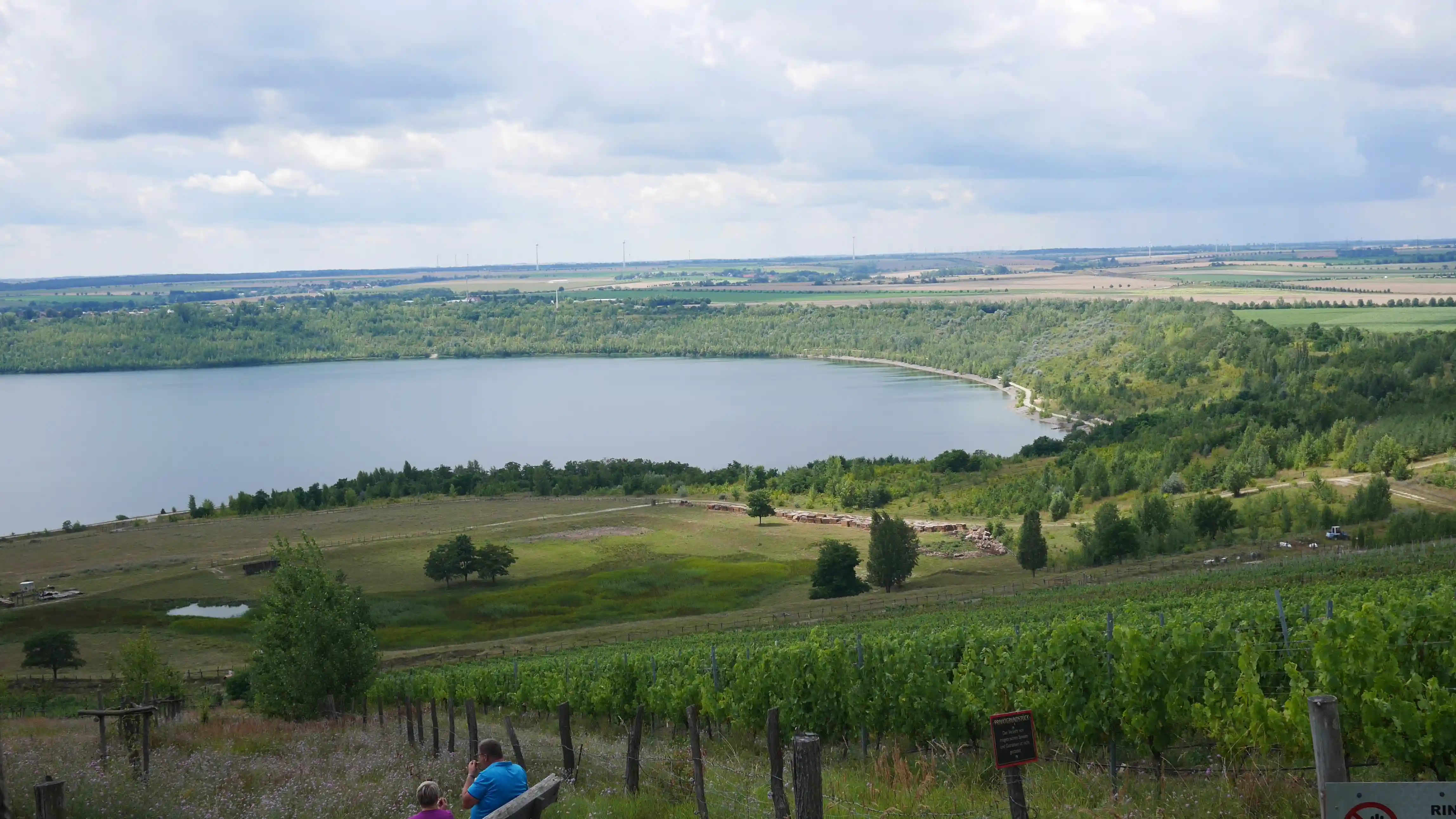 Die Weinberge am Unstruttal