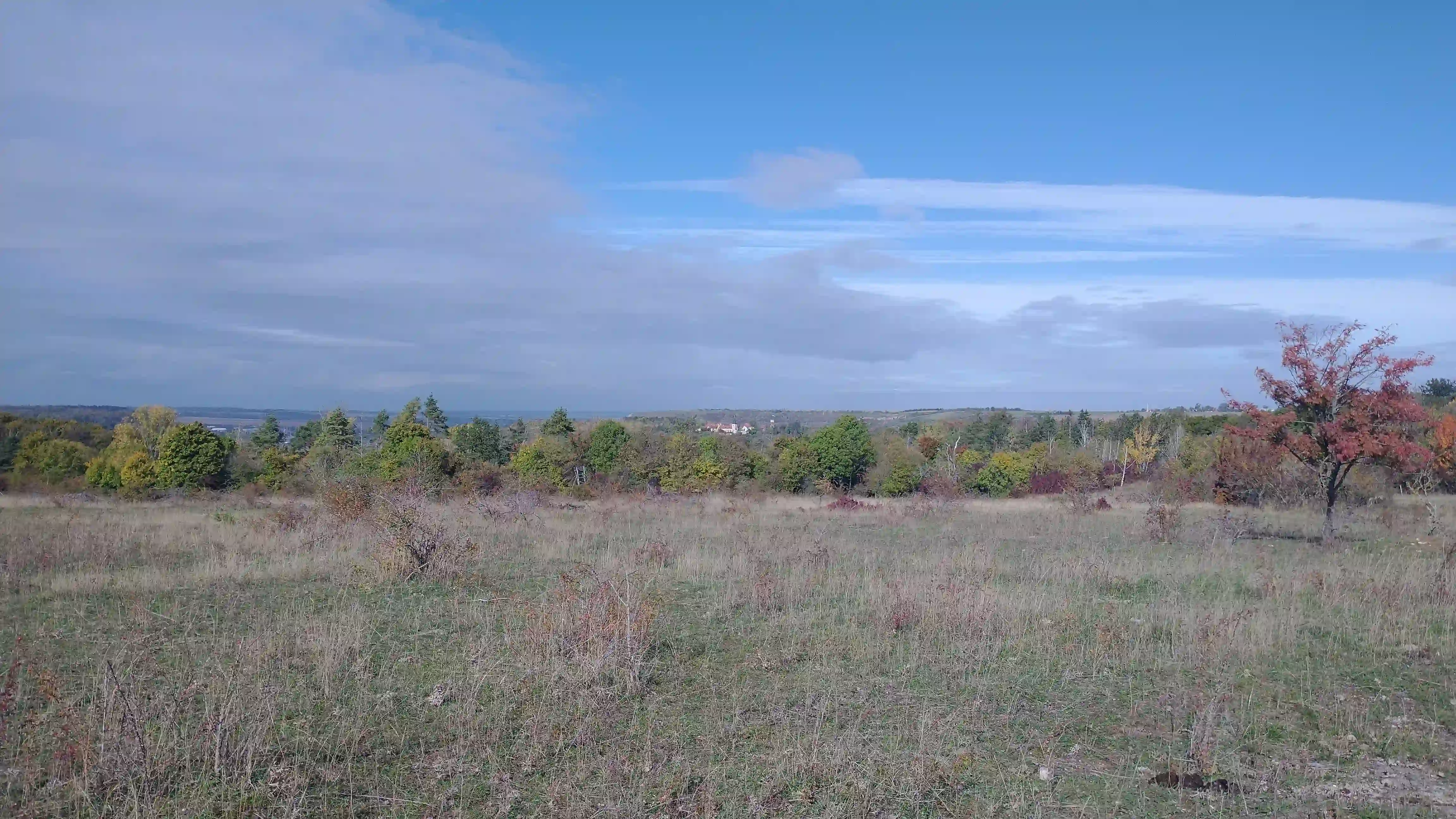 Blick vom Rödel auf die Zeddenbacher Mühle.