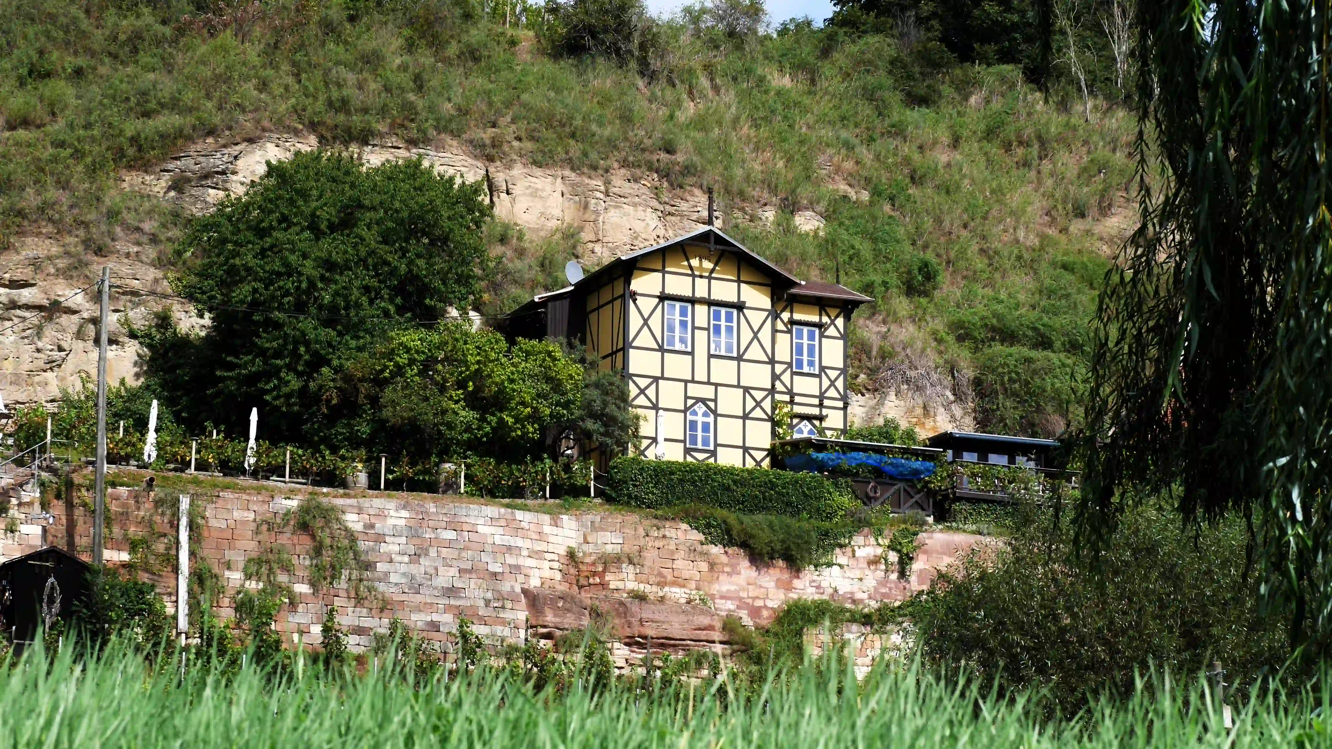 Die Weinberge am Unstruttal