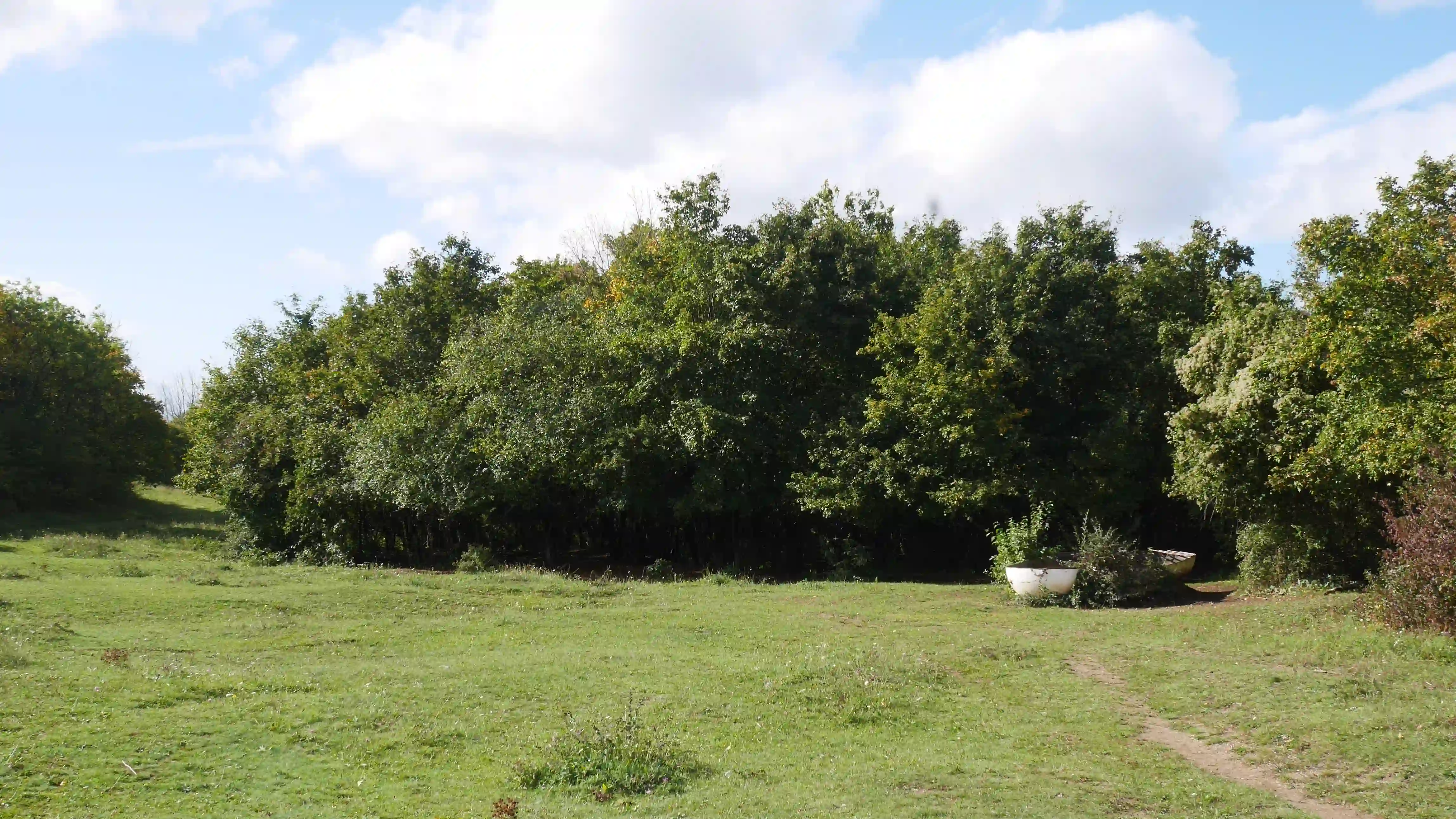 Auf der Pferdekuppel des Rödel.