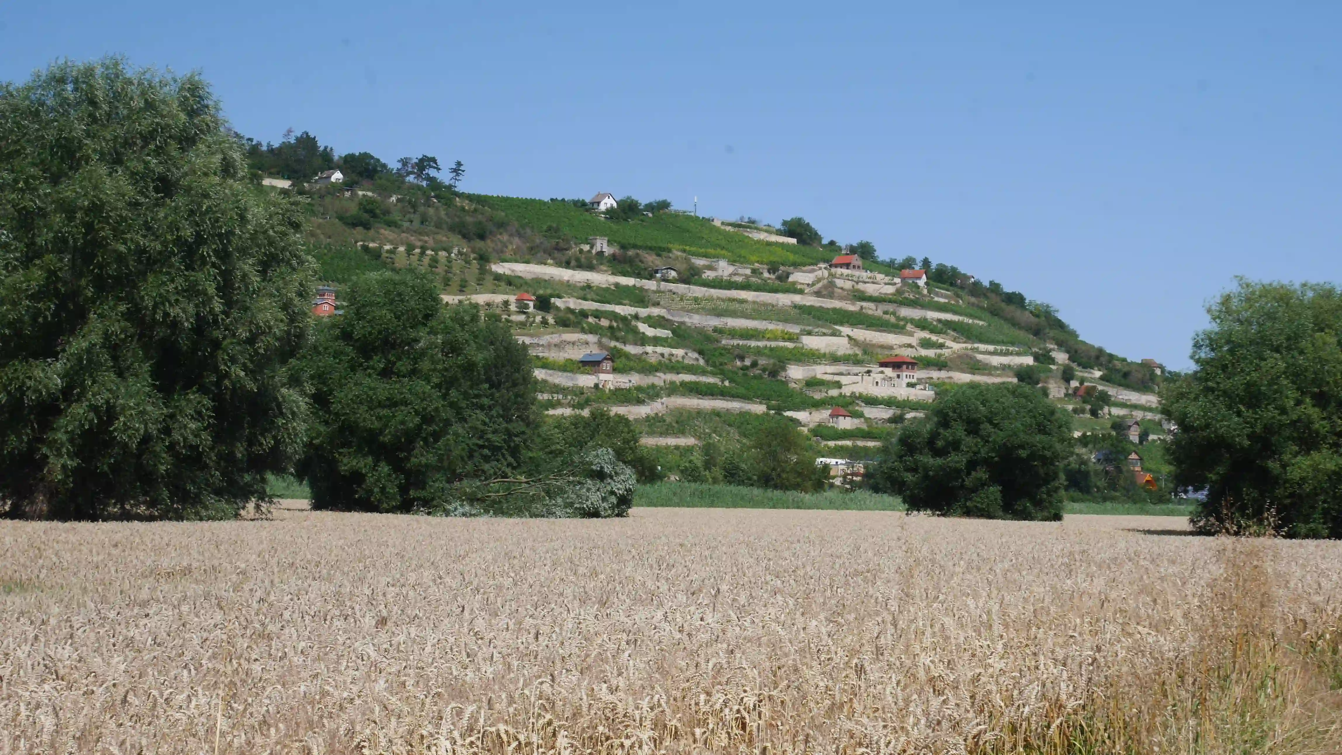 Die Schweigenberge vom Unstrut-Radweg
