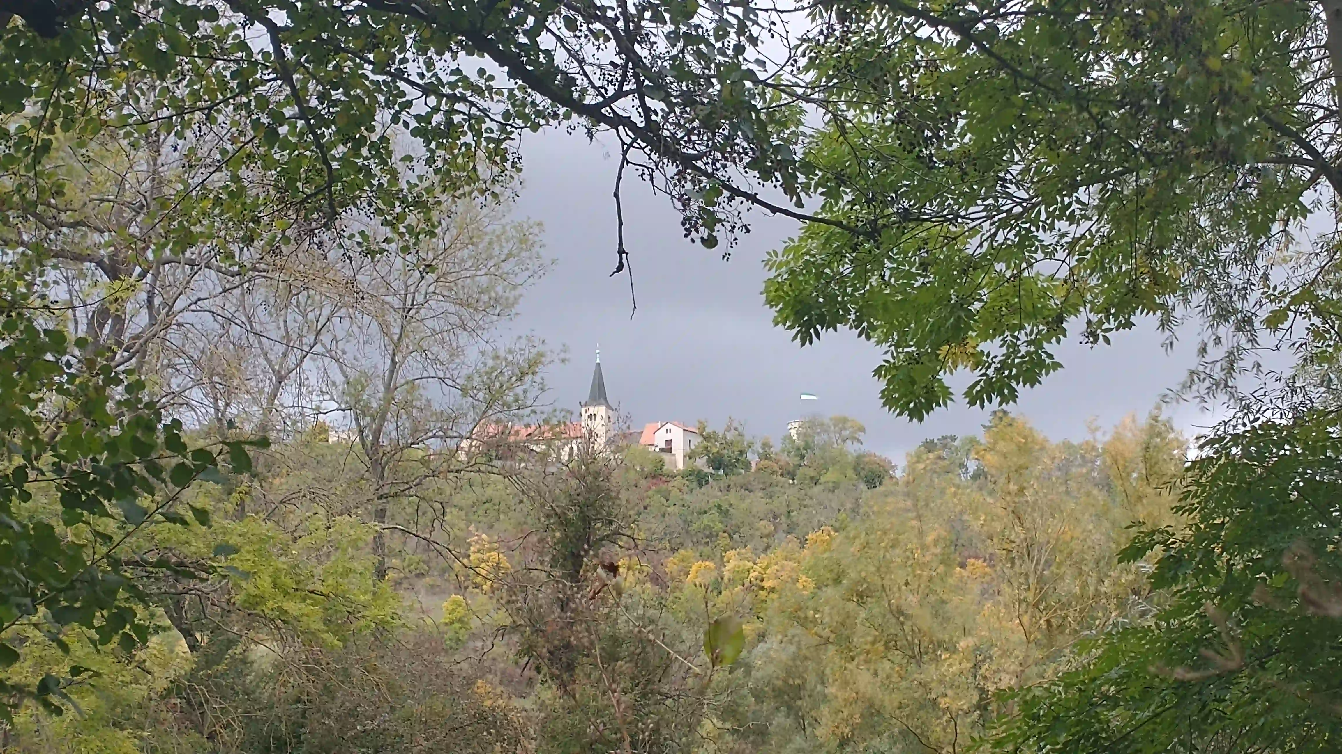 Das Kloster Zscheipitz leuchtet auf dem Berg.
